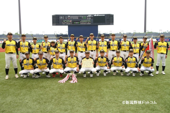 妻有NEXUS（ツマリネクサス）について