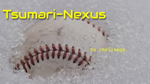 妻有NEXUS（ツマリネクサス）について