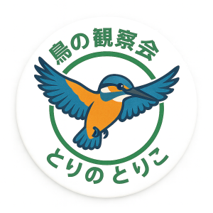 鳥の観察会 とりのとりこ